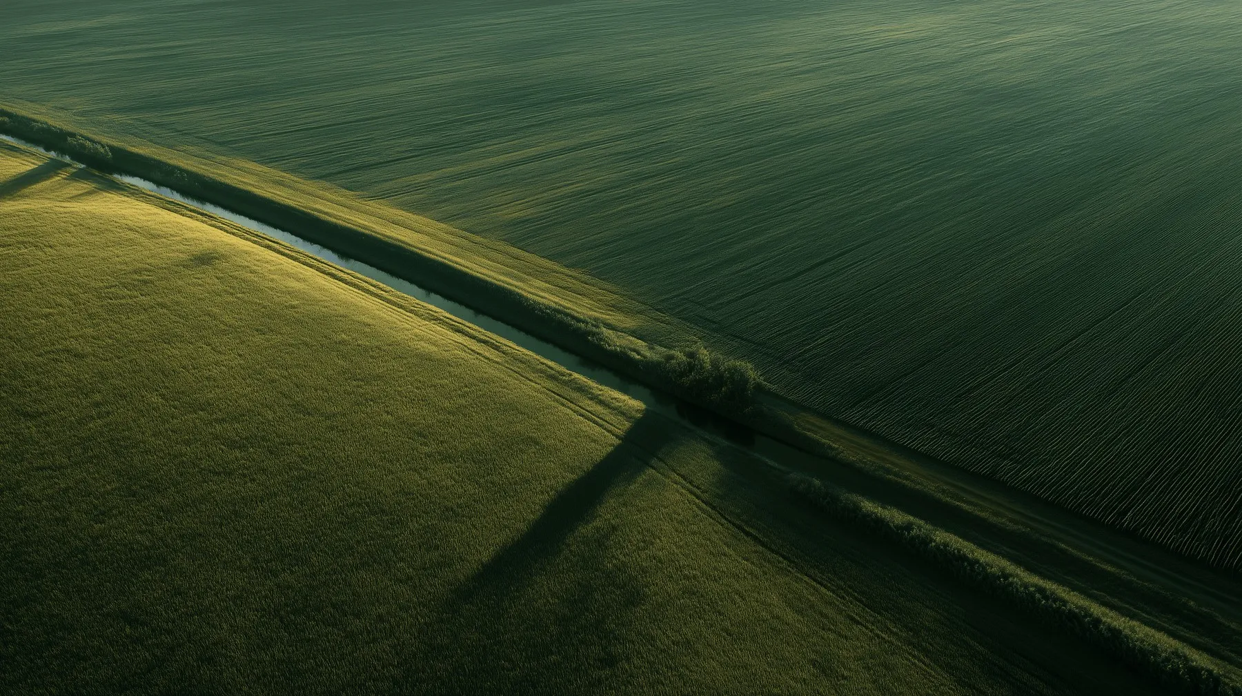 Agriculture & Environmental